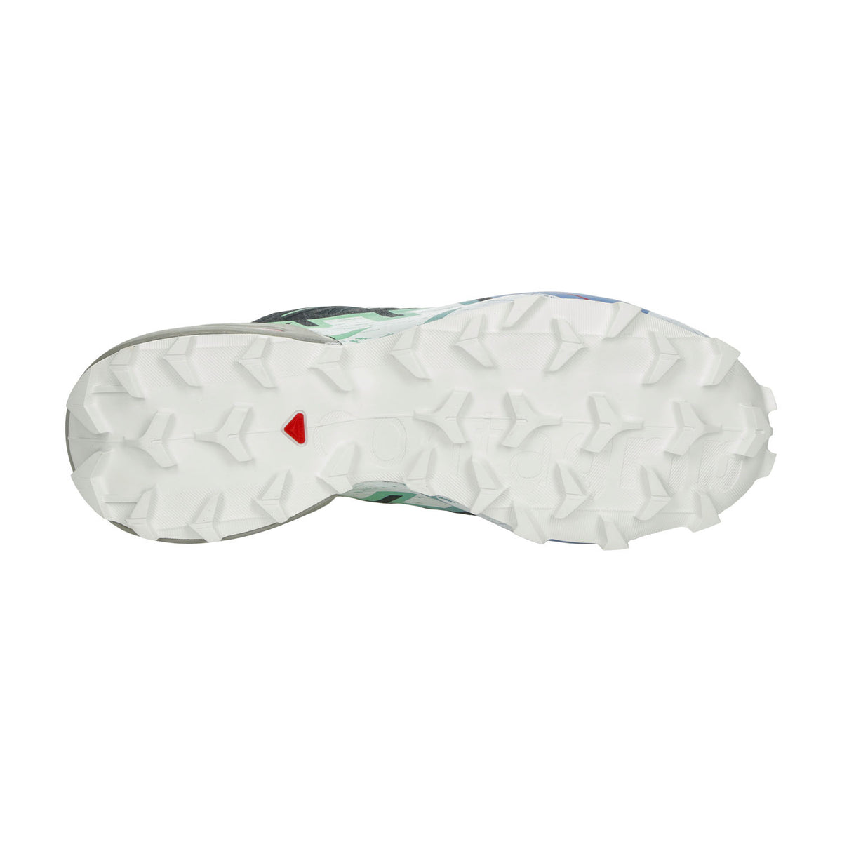 Salomon Speedcross 6 GTX Carbon/Provence/White